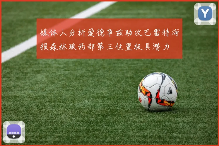 媒体人分析爱德华兹助攻巴雷特海报森林狼西部第三位置极具潜力