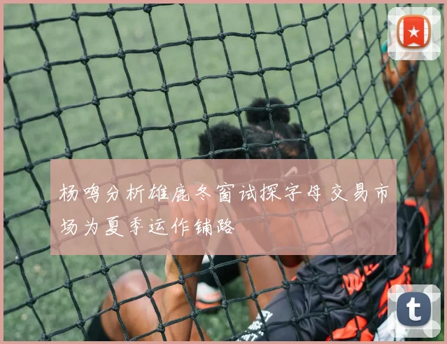杨鸣分析雄鹿冬窗试探字母交易市场为夏季运作铺路