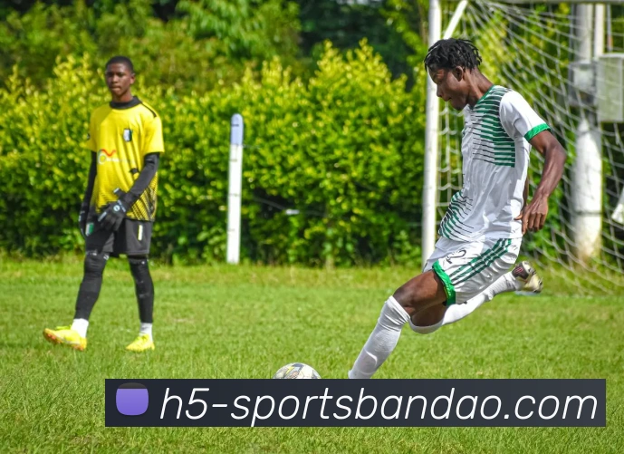 App Interface Preview